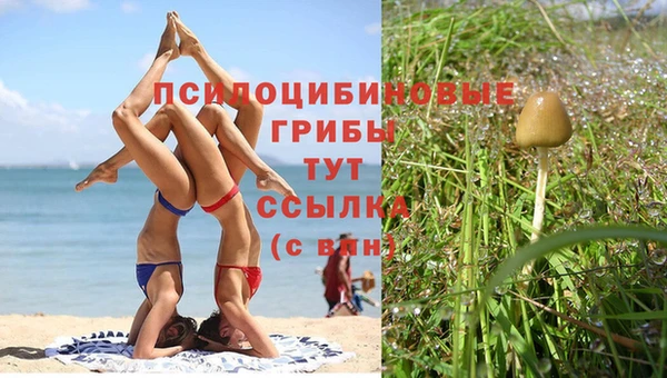 скорость Балахна
