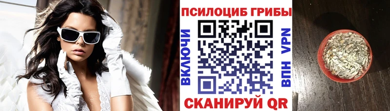 Галлюциногенные грибы Psilocybine cubensis  Лабинск 